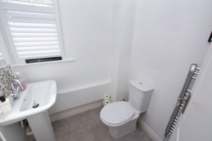 WC- click for photo gallery